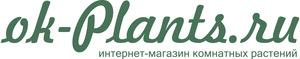 Интернет Магазин Домашних Цветов Почтой